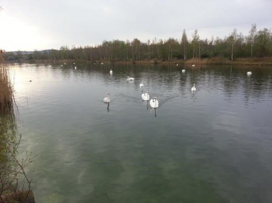 Regate de maquettes à plume
