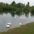 Des visiteurs
