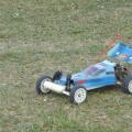 Buggy 