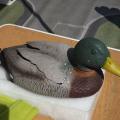 Canard 