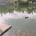 Concentration sur le ponton