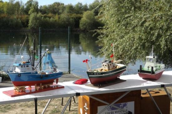 De gauche à droite, le St Vincent, le Patrick et un Springer