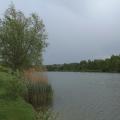 Avant l'orage