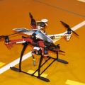 Un oiseau RC sur un Multi-rotors