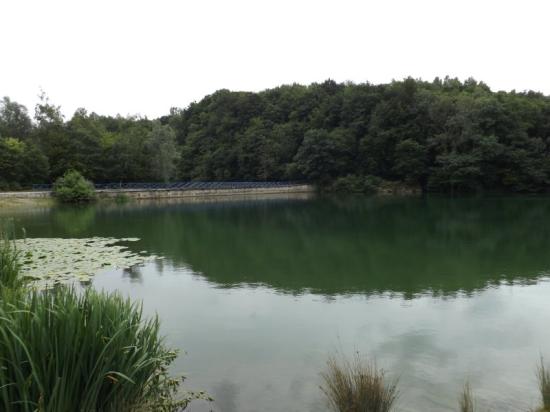 Plan d'eau de Watissart