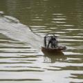Hydroglisseur le 