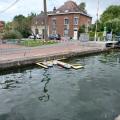 Image10