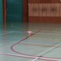 Img 1918