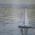 Img 3792