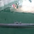 Img 4586