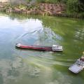 Img 5807