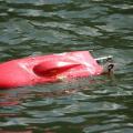 Img 5882