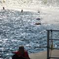 Img 5885
