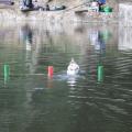 Img 6057