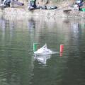 Img 6061