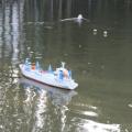 Img 7008