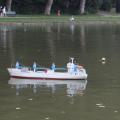 Img 7023