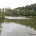 Img 7051