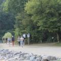 Img 7086