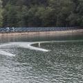 Img 7098