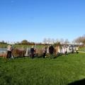 Img 7173