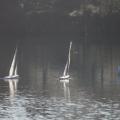 Img 7325