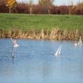 Img 7428
