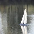 Img 7429
