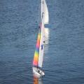 Img 7439