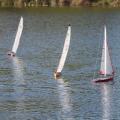 Img 7448