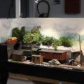 Img 7679