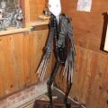 Img 7789