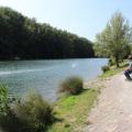 Img 7889