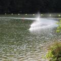 Img 7893