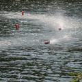 Img 7897
