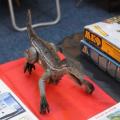 Img 7905