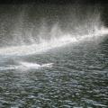 Img 7906