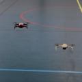 Img 7959