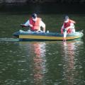 Img 8161