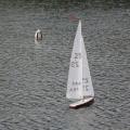 Img 8517