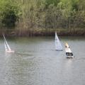 Img 8521