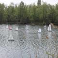 Img 8551