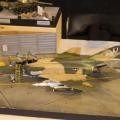 Img 8890