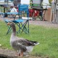 Img 9857