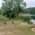 Img20250518085453