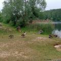 Img20250518085456