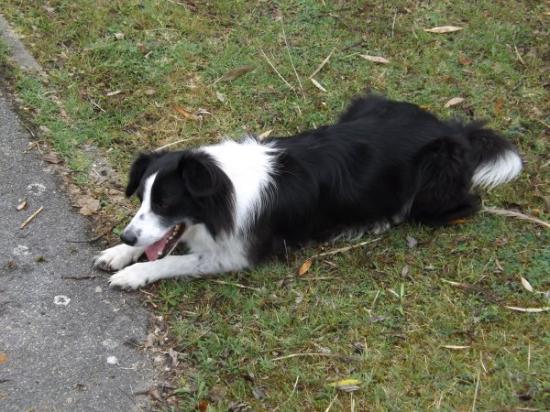La mascotte de cette journée