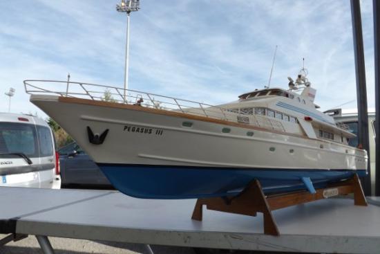 Le Pégasus III