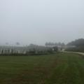 Le Plan d'eau sous le brouillard