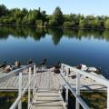 Le ponton squaté par des visiteurs à plume